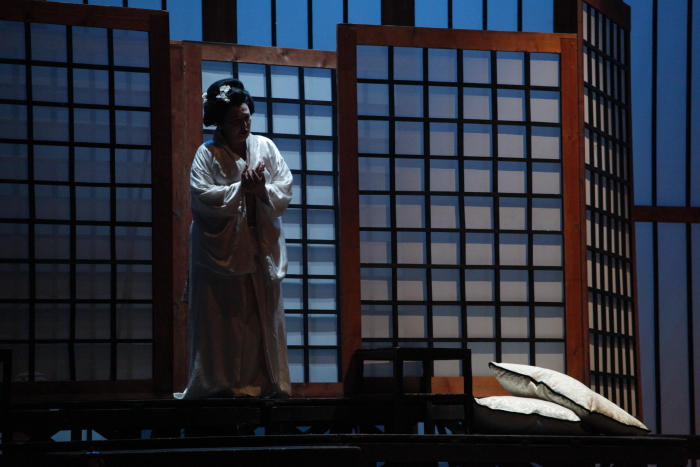 madama butterfly foto