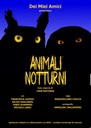 animali notturni