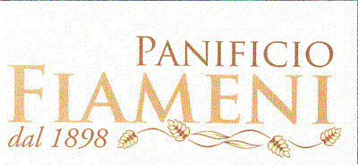 logo fiameni
