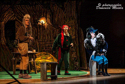 IL BOSCO
